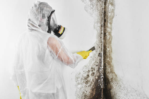 Water Damage Restoration in Westview, FL