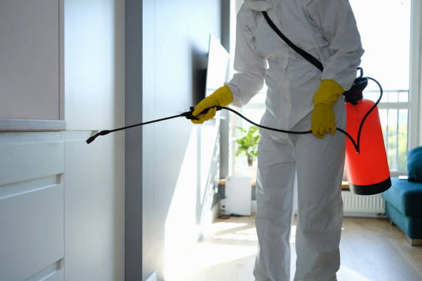 Best Attic Mold Removal  in Westview, FL